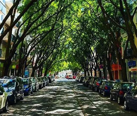 Campo De Ourique * Lisbon